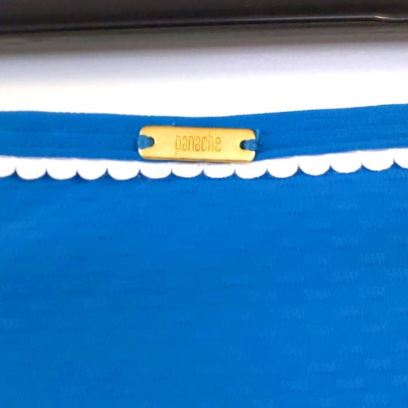 Panache Anya Classic Bikini Bottom, Teal, Multiple Sizes - Picture 3 of 7